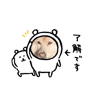 ワンわんこわん（個別スタンプ：5）