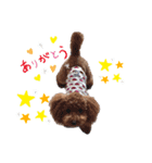 ワンわんこわん（個別スタンプ：8）