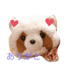 たぬちゃんの毎日（個別スタンプ：1）