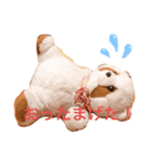 たぬちゃんの毎日（個別スタンプ：5）