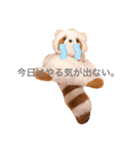 たぬちゃんの毎日（個別スタンプ：6）