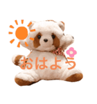 たぬちゃんの毎日（個別スタンプ：7）