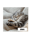 みみたろさん（個別スタンプ：4）