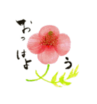 野に咲く花スタンプ（個別スタンプ：1）