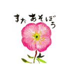 野に咲く花スタンプ（個別スタンプ：13）
