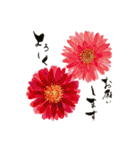 野に咲く花スタンプ（個別スタンプ：36）