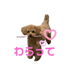 まるかちいょう（個別スタンプ：10）