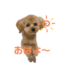 まるかちいょう（個別スタンプ：18）