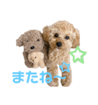 まるかちいょう（個別スタンプ：19）