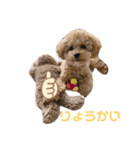 まるかちいょう（個別スタンプ：22）