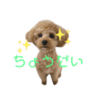 まるかちいょう（個別スタンプ：23）