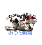 狆のマウスウPart Ⅲ（個別スタンプ：6）