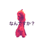 プードル もこ（個別スタンプ：2）