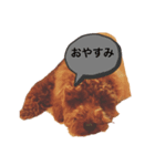プードル もこ（個別スタンプ：3）