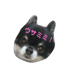 ここもかすたんぷ（個別スタンプ：3）
