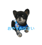 ここもかすたんぷ（個別スタンプ：8）