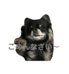 ここもかすたんぷ（個別スタンプ：9）