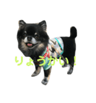 ここもかすたんぷ（個別スタンプ：10）