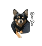 ここもかすたんぷ（個別スタンプ：14）