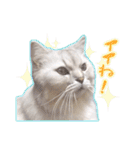 もふねこズ（個別スタンプ：2）