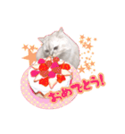 もふねこズ（個別スタンプ：9）