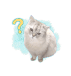 もふねこズ（個別スタンプ：10）
