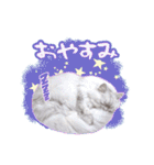 もふねこズ（個別スタンプ：12）