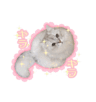 もふねこズ（個別スタンプ：22）