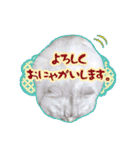 もふねこズ（個別スタンプ：24）