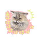 もふねこズ（個別スタンプ：29）
