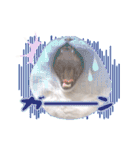 もふねこズ（個別スタンプ：30）