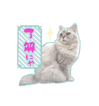 もふねこズ（個別スタンプ：32）