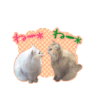 もふねこズ（個別スタンプ：33）