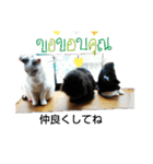仲良しキャットファミリー5（個別スタンプ：3）
