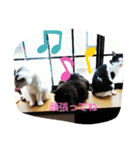 仲良しキャットファミリー5（個別スタンプ：8）