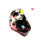 仲良しキャットファミリー5（個別スタンプ：14）