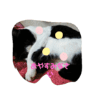 仲良しキャットファミリー5（個別スタンプ：17）