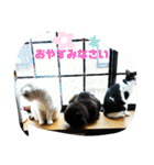 仲良しキャットファミリー5（個別スタンプ：39）