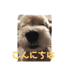ずっと大好きチョコちゃん（個別スタンプ：2）