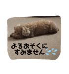 ずっと大好きチョコちゃん（個別スタンプ：5）