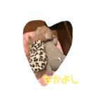 ずっと大好きチョコちゃん（個別スタンプ：13）