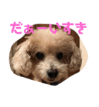 ずっと大好きチョコちゃん（個別スタンプ：14）