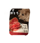 ずっと大好きチョコちゃん（個別スタンプ：18）