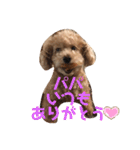 ずっと大好きチョコちゃん（個別スタンプ：19）