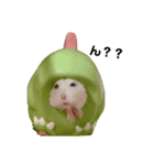 ハムスター・ぽっくる（個別スタンプ：6）