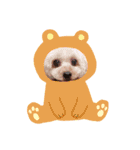 ジョージとラミ（個別スタンプ：14）