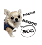 キキたんず30（個別スタンプ：11）