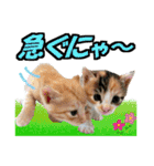 ゆかいなにゃんこ7★家族でつかえる言葉★（個別スタンプ：27）