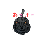 クロ猫みるくのごあいさつ（個別スタンプ：2）