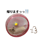 ぽんもぐスタンプ（時々、くぅ☆）（個別スタンプ：5）
